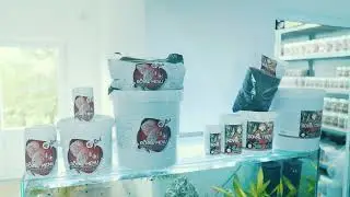 Professional food from professional discus farm- ROYAL MENU