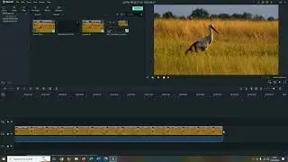 🚀 Awesome! Justin Creates a Snap Photo Freeze Effect in Video Editing!