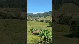 จุดพักรถ แม่ลาหลวงอำเภอแม่ลาน้อยจังหวัดแม่ฮ่องสอน #travel