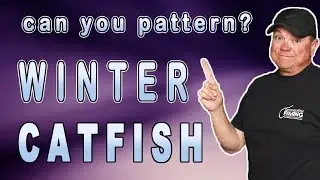 Can You Find a Pattern for Winter Catfish