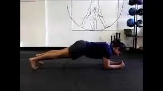 Contralateral Plank - Strengthen Your Core to Prevent Back Pain | #Youtube #shorts