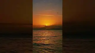 01-29-26 sunset #sunset #chill #relaxing