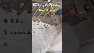 Ranking Cats Flexing Their 9 Lives