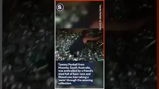 True Aussie Legend Collects Thousands of VB Beer Cans to Make Ultimate 'Ball Pit'