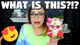 BIG RANDOM UNBOXING! Opening Subscriber Mail and PR Packages!