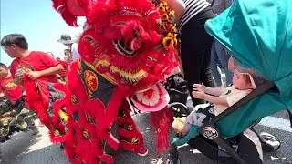 2023 Lion Dance Action with Drumming Quincy Festival Street Parade Event  醒獅表演 Near Boston Chinatown