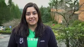 Flashbox Video