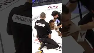 Нокаутирован и отправлен в Царство Теней💥 #mma #нокаут