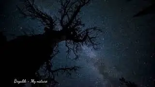 Bryulik  - My nature