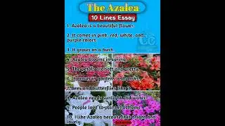 10 Lines Essay on Azalea Flower in English | Short Essay on Azalea Flower @CarryOn-360