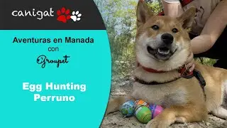 Aventuras en manada - Egg Hunting