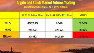 Digital Micro Trading Journal 12-7-21