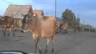 Lori, Armenia - A Driving Tour - 480