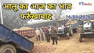 16/01/2026 आलू का आज का भाव फर्रुखाबाद मंडी/ Aalu ka bhav today Farrukhabad 