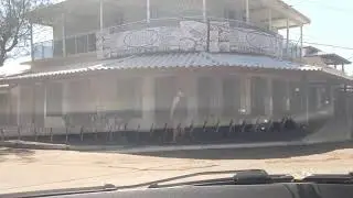 UM POUCO DA BELA PRAIA DE GUAXINDIBA | São Francisco de Itabapoana/RJ