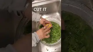 Broccoli Rabe @cecilyonpoint cleaning & cooking #cookingtips #cooking101