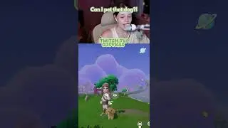When the game lets you pet all the dogs it&rsquo;s a win for me 🤭 #heartopia #heartopiagame