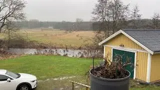 Lättskrämda fåglar. 