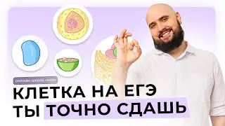 СТРОЕНИЕ КЛЕТКИ ДЛЯ ЕГЭ | ЧАСТЬ 1 | НОО