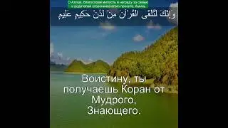 Коран Сура Ан-Намль | 27:6| Чтение Корана с русским переводом | Quran Translation #recitequran