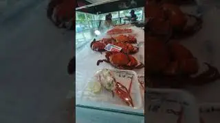 Seafood Gold Coast Australia👌🇦🇺 #charis#seafood#goldcoast#australia