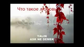 Yalın 