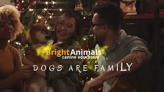 Christmas 2022