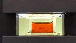 Guided and magnetic self-assembly of tunable magnetoceptive gels - Movie 4