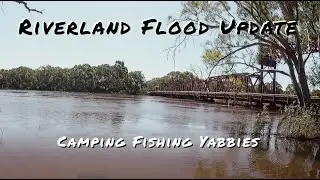 Riverland Flood Update. Murray River Camping Fishing & Yabbies. River Murray Flooding drone footage.