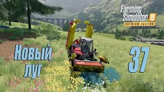 Farming Simulator 19 (Premium edition), прохождение #37 Новый луг