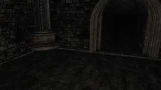 Dark Souls 2 Died from Fall Damage