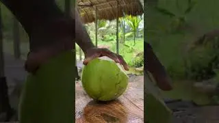 How to Master Fresh Coconut Peeling Like a Pro