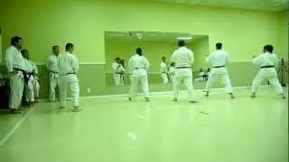 IKD Shotokan Karate Black Belt Test (for Nidan), Kihon (basics) | Stonewall May 2012