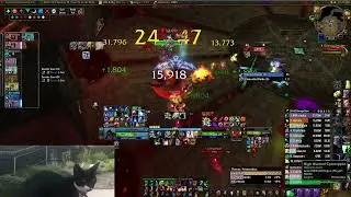 Dreamstate Throne of Thunder Primordius 10M Heroic