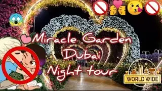 Night view of Miracle Garden Dubai | Wonderful lighting | 🚫😘 | Season 2021