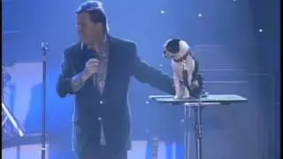 Todd Oliver - Funnydog