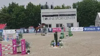 Greenfield Horses - Ivan FH - 2013, by Nabab de Reve / Concorde,