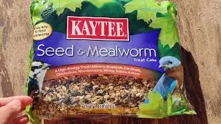 What to Feed Your Chickens in Winter for Egg Production