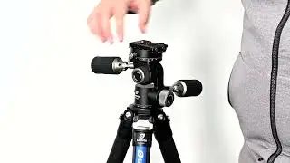Leofoto FW-01R Pan and Tilt Head with RH-2L Panning Clamp and NP-60 Plate