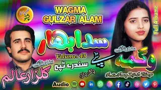 Gulzar Alam O Wagma II Pashto Song And Tappay II Sadabahar II Volume, 45 II 2026 II Zara Yadona