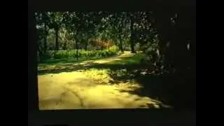 Vida y obra de Antonio Machado - Colectivo Ciclo (1981)