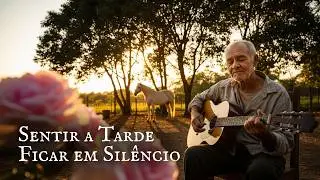 Músicas Relaxantes que Moram no Silêncio do Quintal e nas Memórias Simples | Melodias do Campo