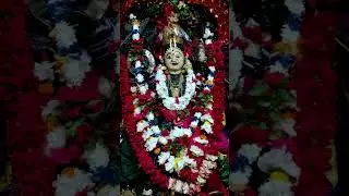 Ajiro divya darshana 24.10.25|Jay Maa Mangala |#jaymaa mangala#trendingnow #shortsfeed #ytshorts #yt
