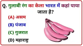 GK || GK Question || GK In Hindi || GK Question and Answer || GK Quiz || UNIQUE GK