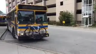 Buses At Bridgeport Station