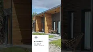Polionda Prueba Auto