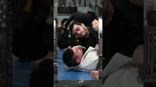 The Art of Combat: Problem-Solving Under Pressure in Jiu-Jitsu, Striking, and Wrestling
