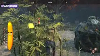 Dead by Daylight ITA - DBD LIVE 25/05/2025 2V8