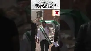 #bolivia | Bolivian opposition governor Camacho released from jail | NewsX World