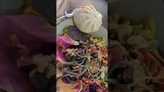 COMIDAS ESTRANHAS NA DISNEY